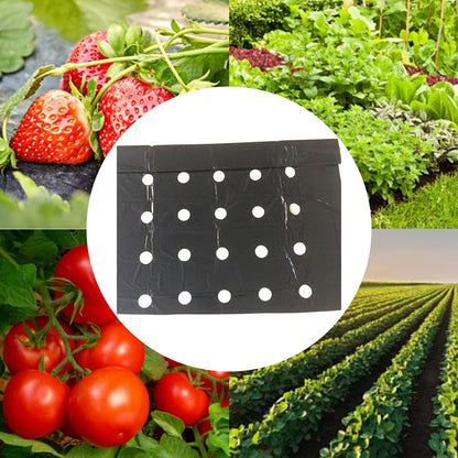 10m Greenhouse Mulch Film Reflective Perforated Seedling Cultivation Moisture Film Keep Warm Black Weed Control Garden Supplies